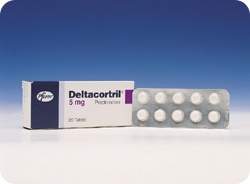 la Fotoraf: Deltacortril 5 Mg 20 Tablet