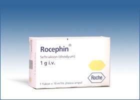 la Fotoraf: Rocephin Im 1 Gr 1 Ampul