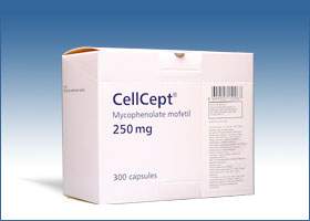 la Fotoraf: Cellcept Roche 250 Mg 100 Kapsl