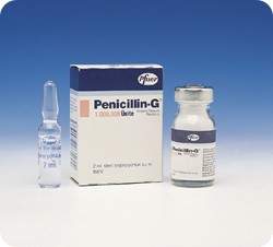 la Fotoraf: Penicillin-g