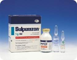 la Fotoraf: Sulperazon 1 Gr 1 Flakon